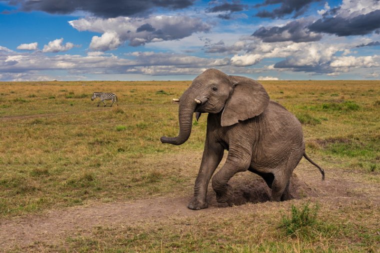 030 Masai Mara.jpg